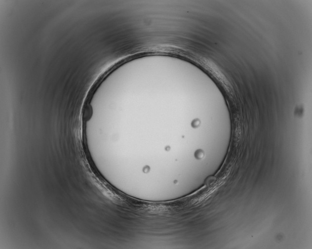 X0000099550940200806061513