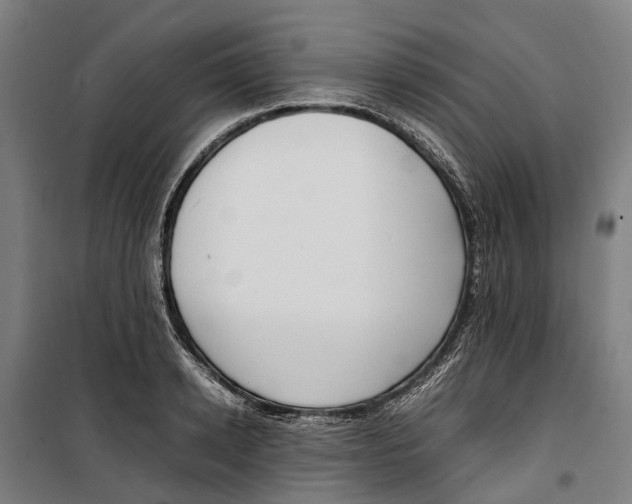 X0000099550942200806061513