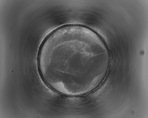 X0000099550943200806061513