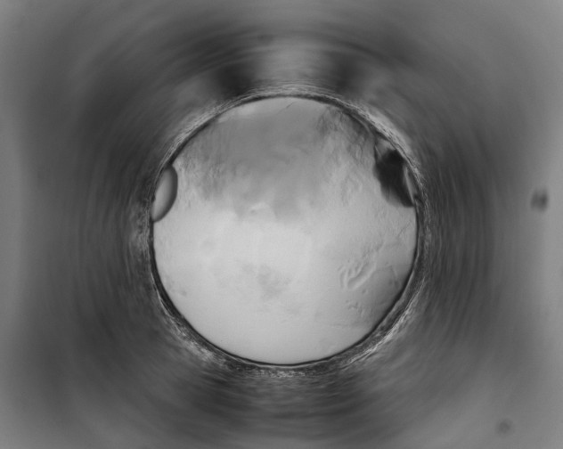 X0000099550945200806061513