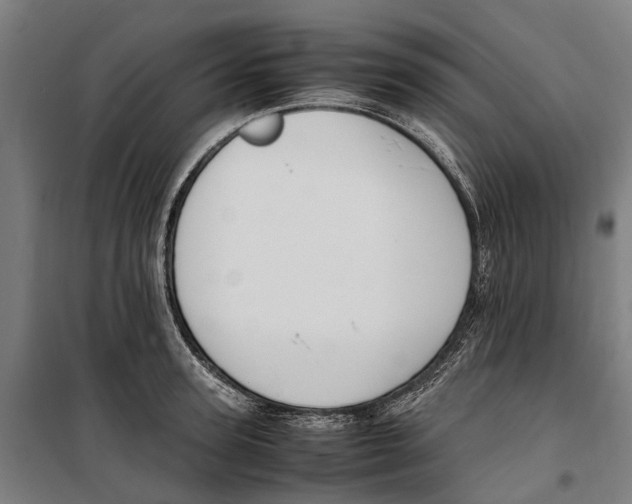 X0000099550947200806061513