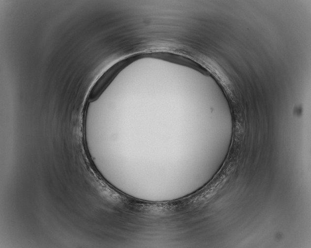 X0000099550948200806061513