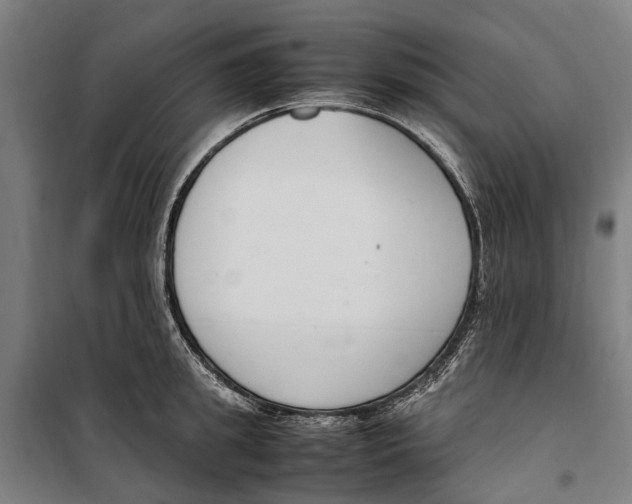 X0000099550949200806061513