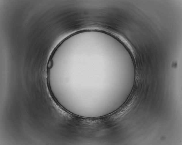 X0000099550951200806061513