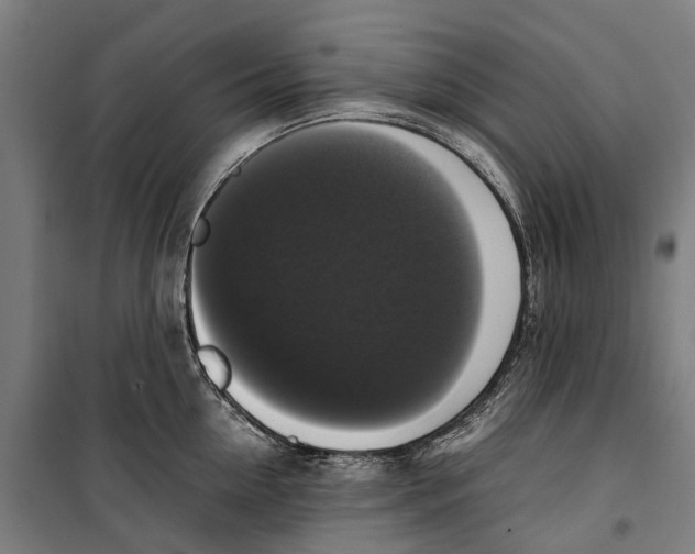 X0000099550954200806061514