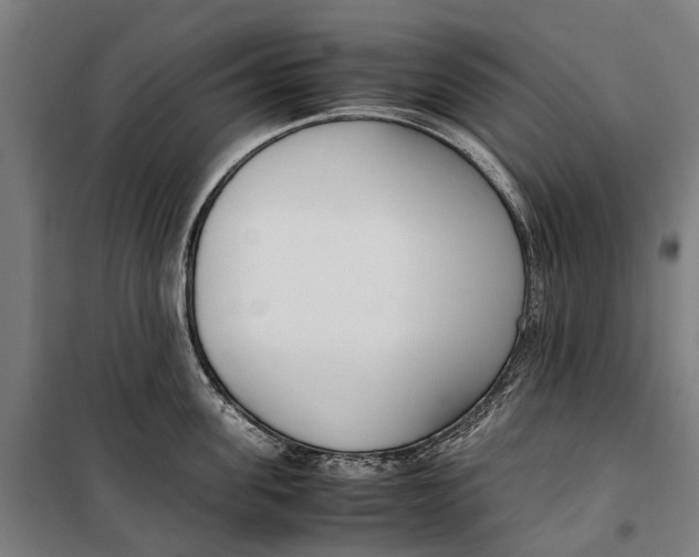 X0000099550955200806061514