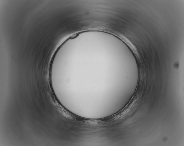 X0000099550956200806061514