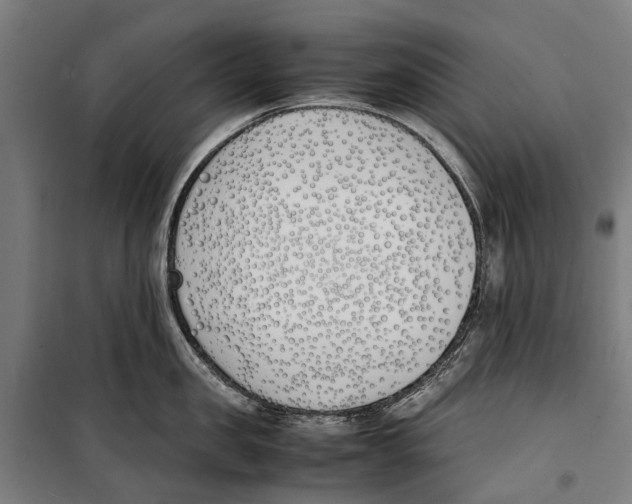 X0000099550957200806061514