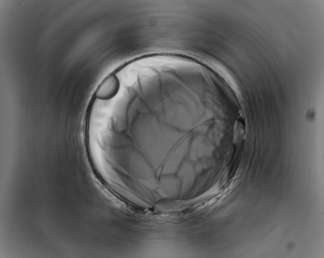 X0000099550958200806061514