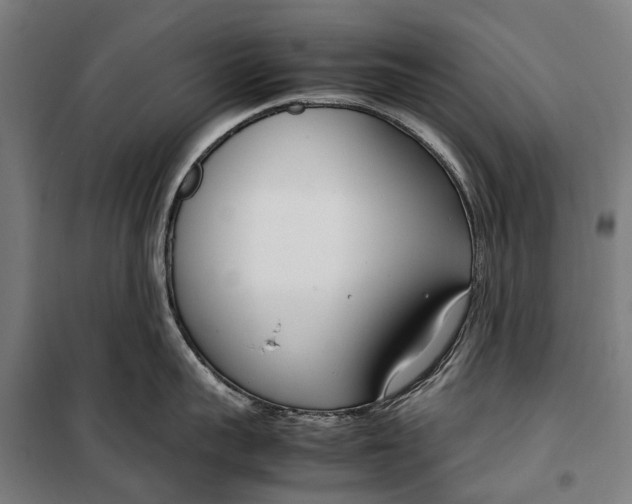 X0000099550959200806061514