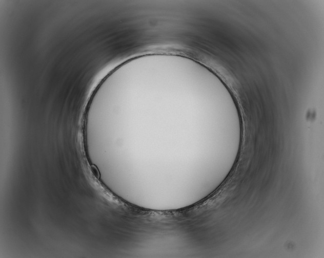 X0000099550960200806061514