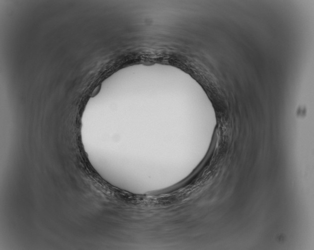 X0000099550961200806061513