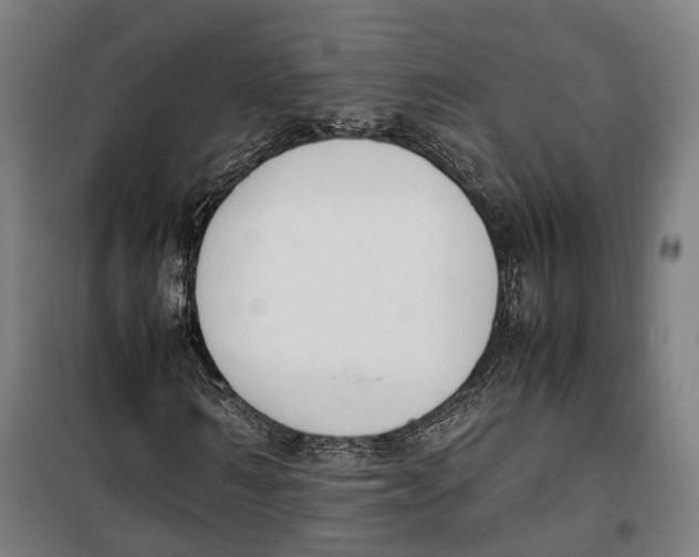 X0000099550962200806061513