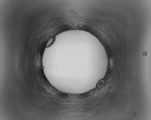 X0000099550963200806061513