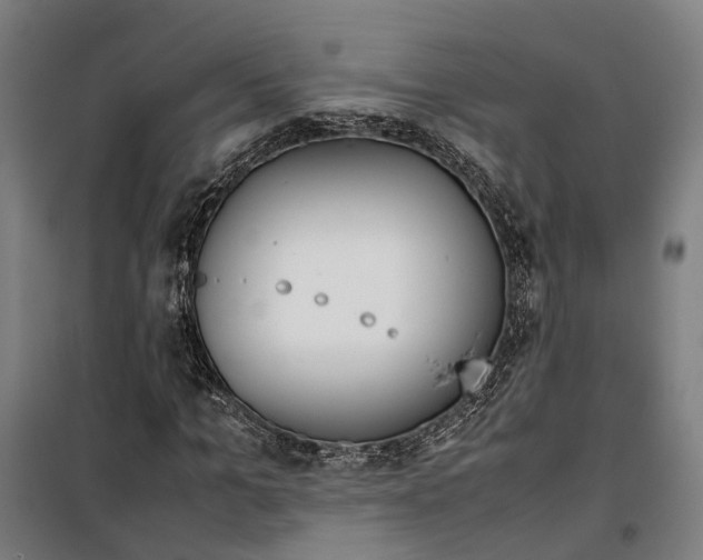 X0000099550965200806061513