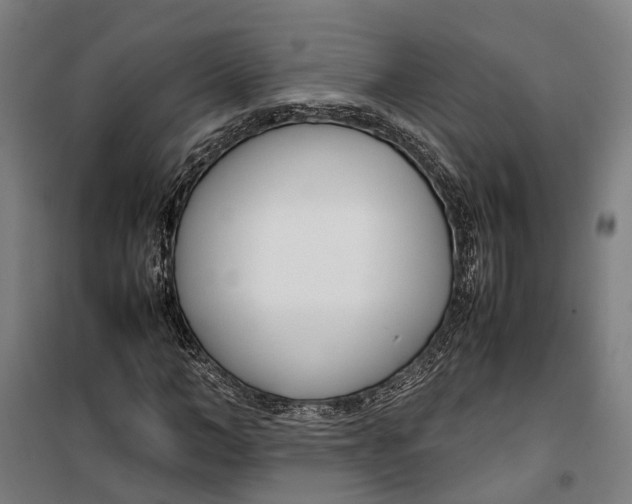 X0000099550966200806061513