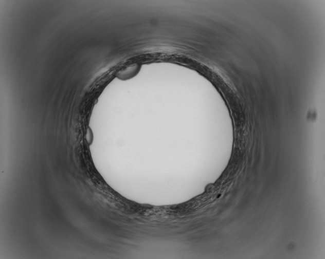 X0000099550967200806061513