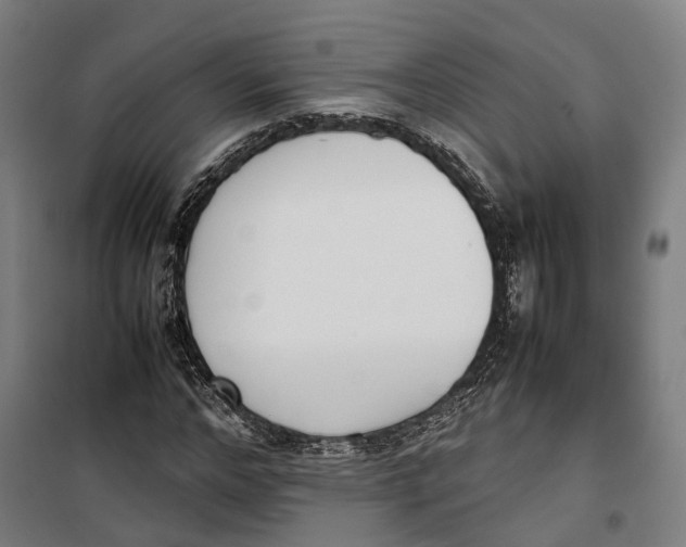 X0000099550968200806061513