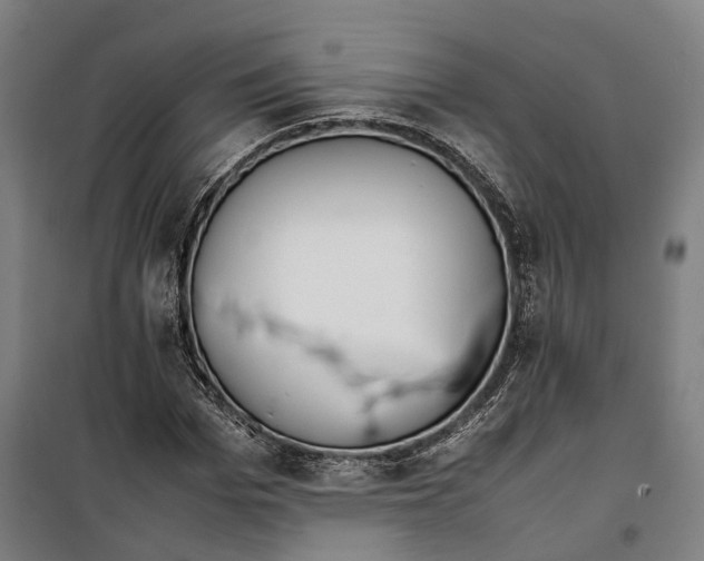 X0000099550969200806061513