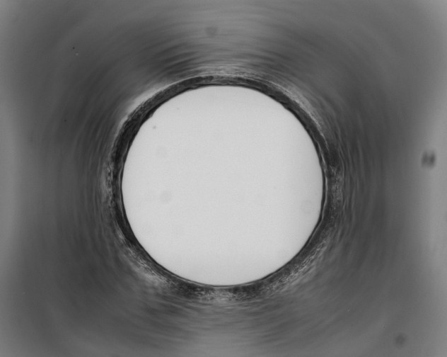 X0000099550971200806061513