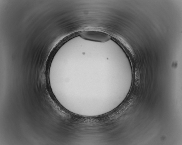 X0000099550972200806061513