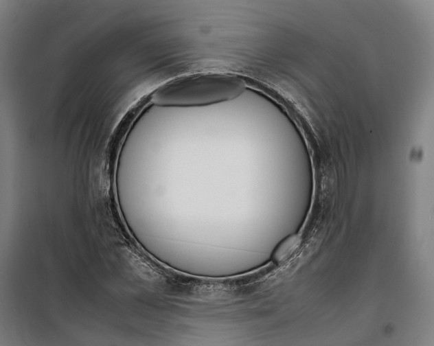 X0000099550973200806061513