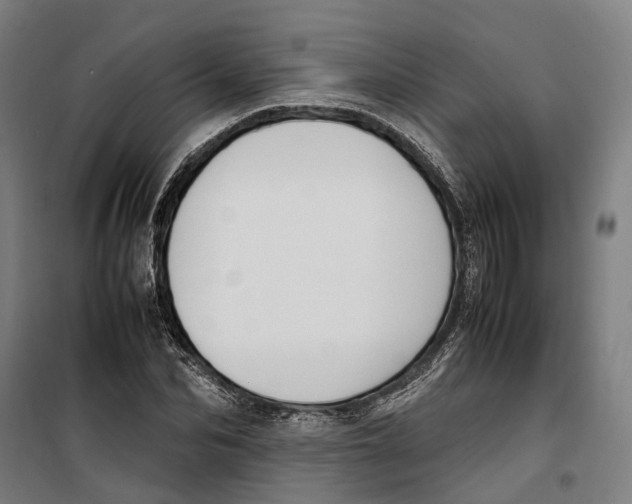 X0000099550974200806061513