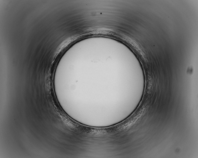 X0000099550978200806061513