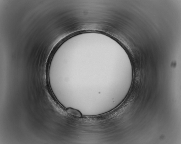 X0000099550980200806061513