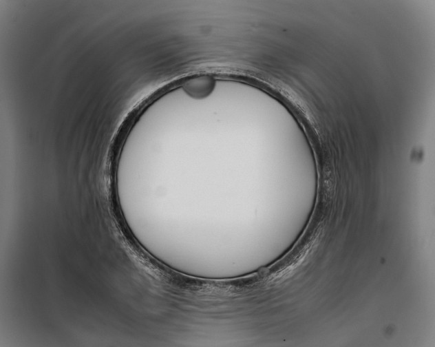 X0000099550981200806061513