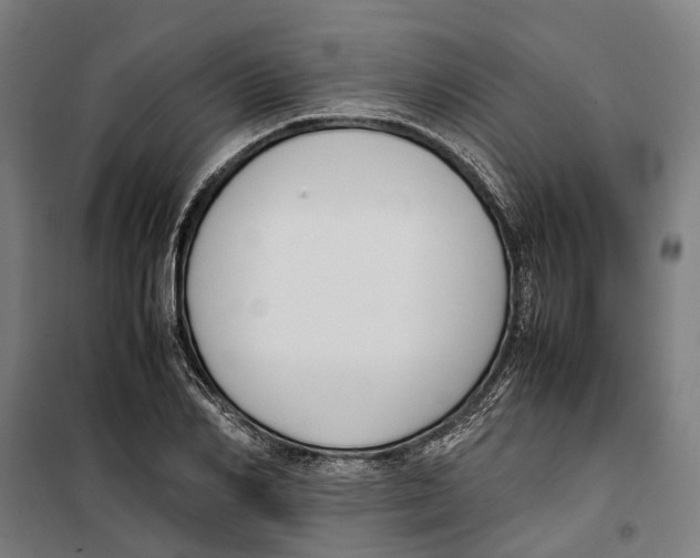 X0000099550982200806061513