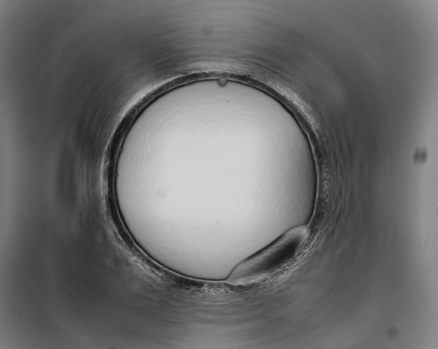 X0000099550983200806061513