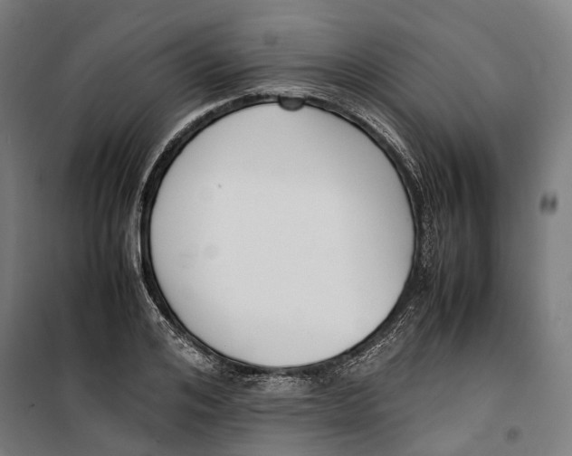 X0000099550984200806061513