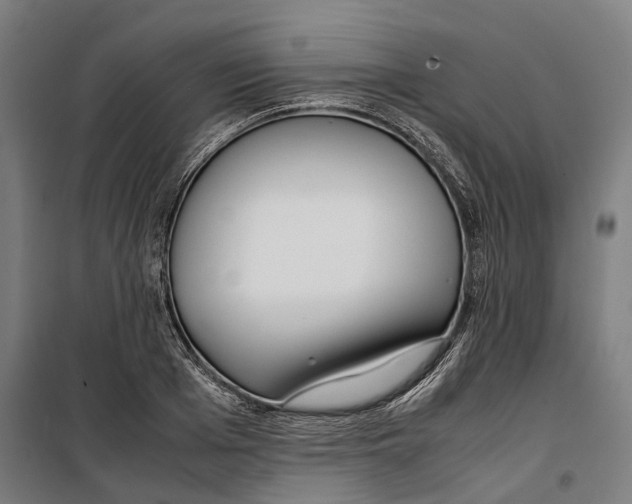 X0000099550985200806061513