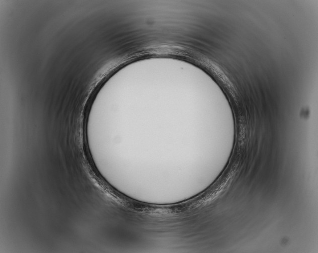 X0000099550986200806061513