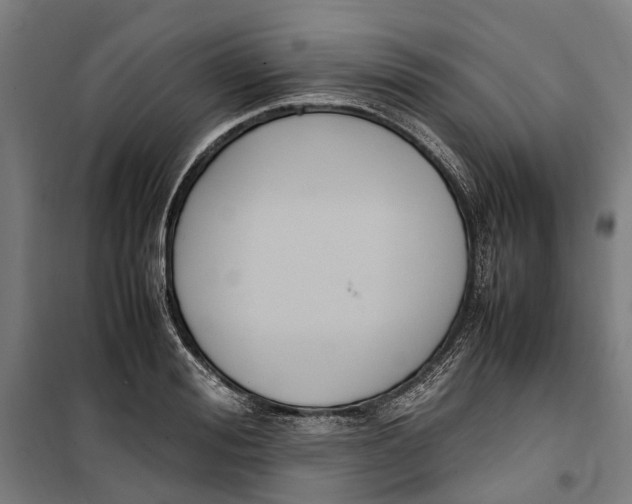 X0000099550988200806061512