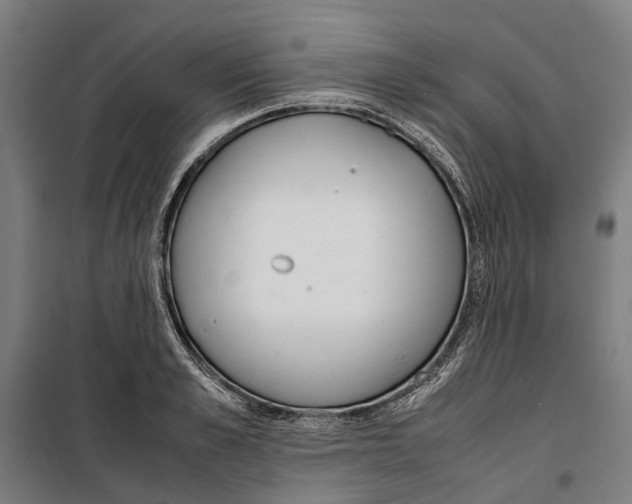 X0000099550989200806061512