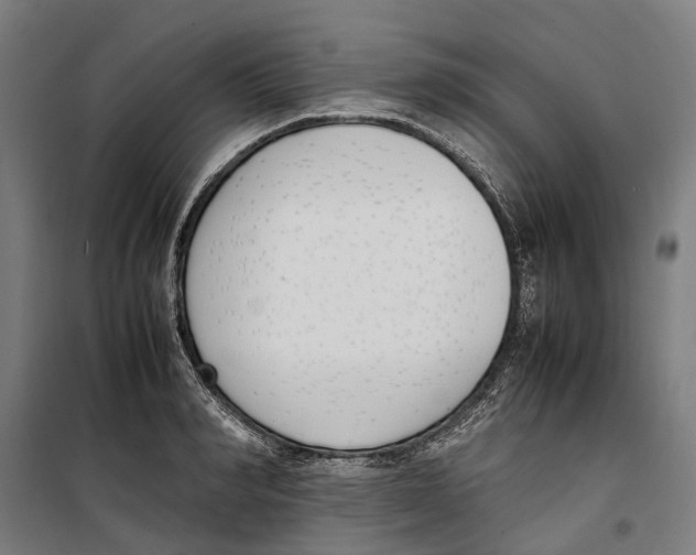 X0000099550990200806061512