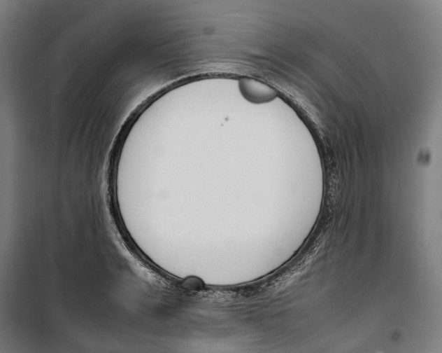 X0000099550991200806061512