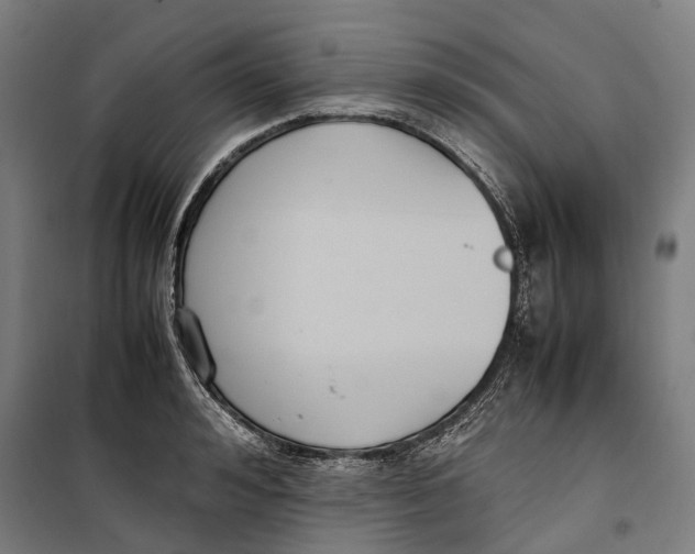 X0000099550992200806061512