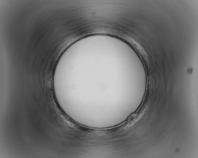 X0000099550993200806061512