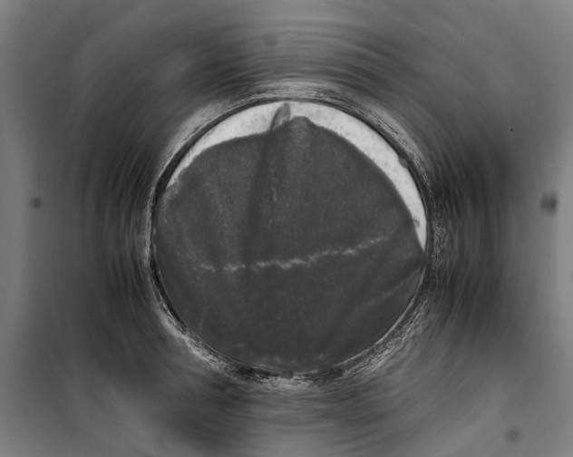 X0000099550994200806061512