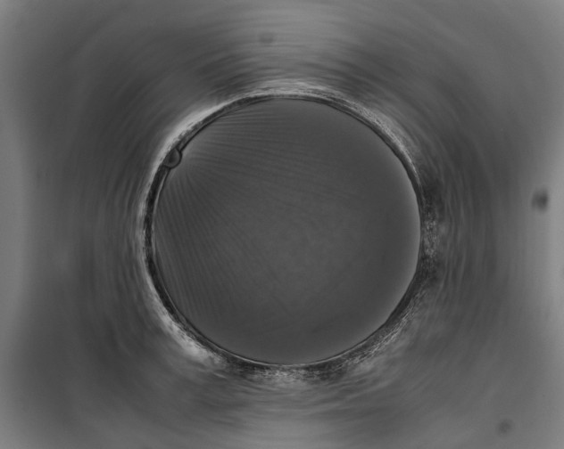 X0000099550995200806061512