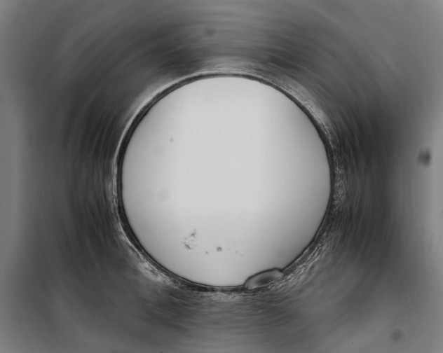 X0000099550996200806061512