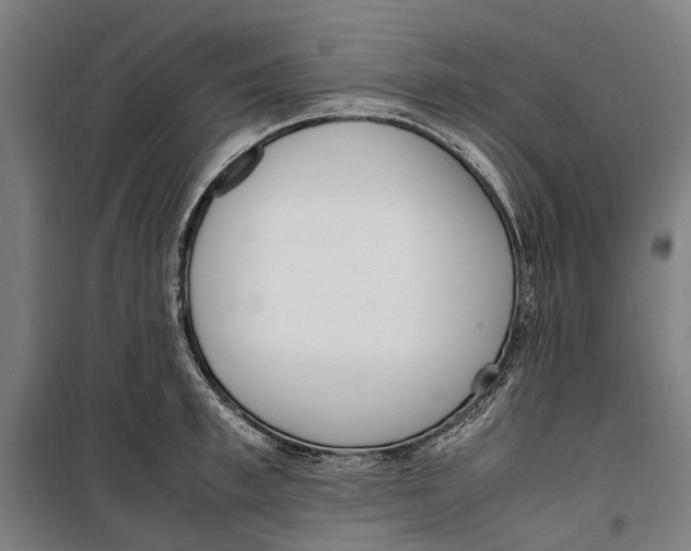 X0000099550997200806061512