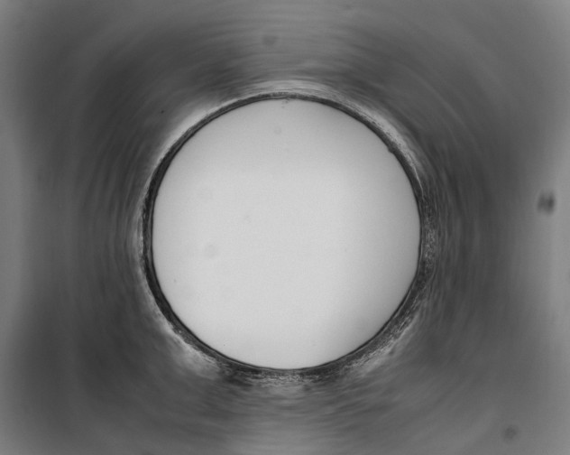 X0000099550999200806061512