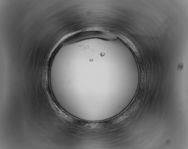 X0000099551000200806061512