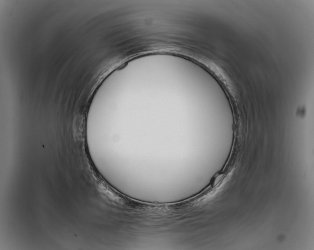 X0000099551001200806061512