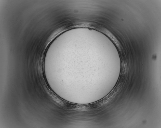 X0000099551002200806061512