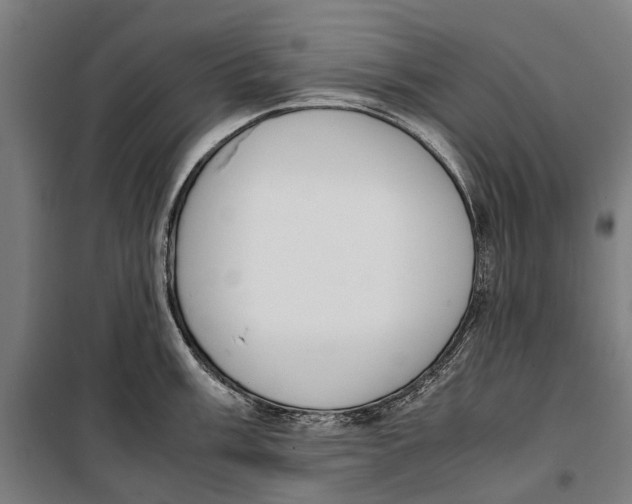 X0000099551003200806061512